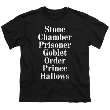 Harry Potter Titles - Youth T-Shirt Youth T-Shirt (Ages 8-12) Harry Potter   