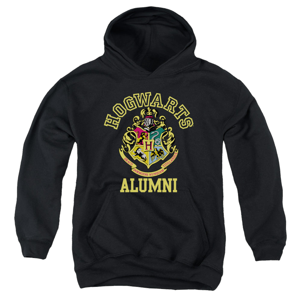Harry Potter Hogwarts Alumni - Youth Hoodie Youth Hoodie (Ages 8-12) Harry Potter   