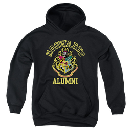 Harry Potter Hogwarts Alumni - Youth Hoodie Youth Hoodie (Ages 8-12) Harry Potter   