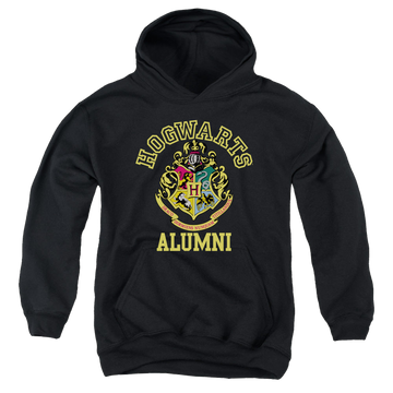Harry Potter Hogwarts Alumni - Youth Hoodie Youth Hoodie (Ages 8-12) Harry Potter   