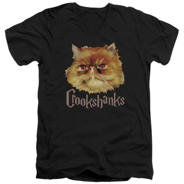 Black men's v-neck t-shirt with Harry Potter Crookshanks Color graphic