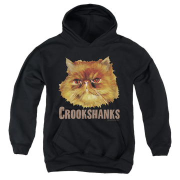 Black youth hoodie for ages 8 to 12 with Harry Potter Crookshanks Color graphic