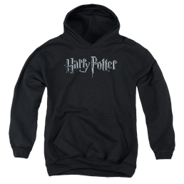 Harry Potter Logo - Youth Hoodie Youth Hoodie (Ages 8-12) Harry Potter   