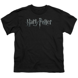 Harry Potter Logo - Youth T-Shirt Youth T-Shirt (Ages 8-12) Harry Potter   
