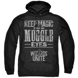 Harry Potter Hidden Magic - Pullover Hoodie Pullover Hoodie Harry Potter   