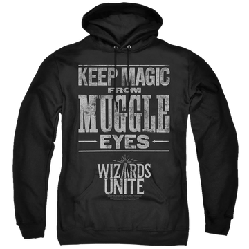Harry Potter Hidden Magic - Pullover Hoodie Pullover Hoodie Harry Potter   