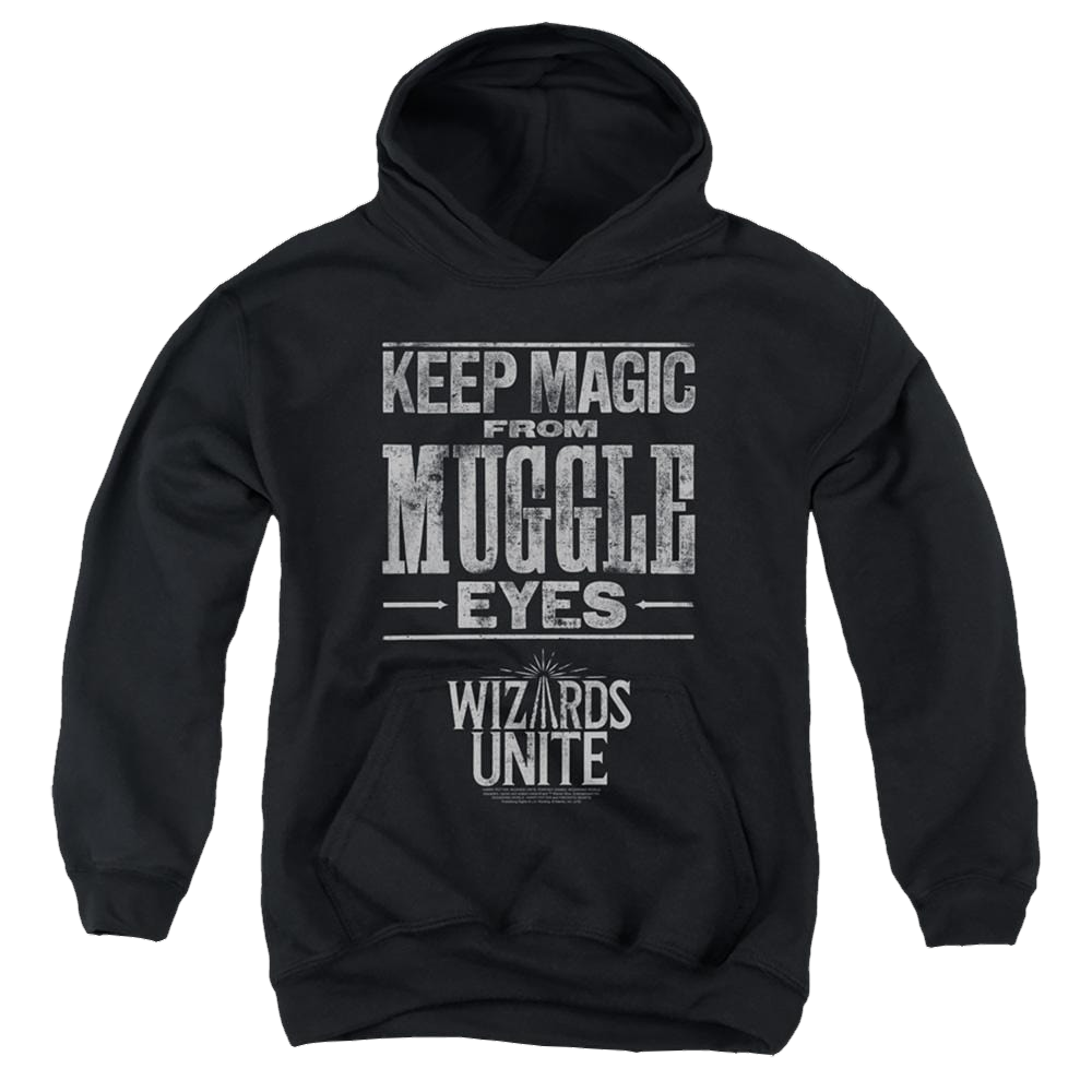 Harry Potter Hidden Magic - Youth Hoodie Youth Hoodie (Ages 8-12) Harry Potter   