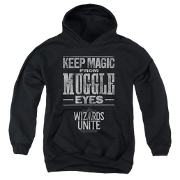 Harry Potter Hidden Magic - Youth Hoodie Youth Hoodie (Ages 8-12) Harry Potter   