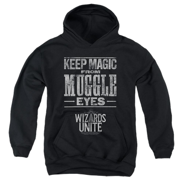 Harry Potter Hidden Magic - Youth Hoodie Youth Hoodie (Ages 8-12) Harry Potter   