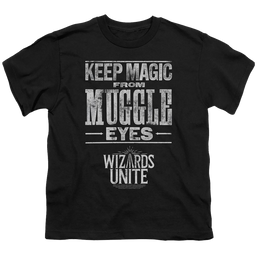 Harry Potter Hidden Magic - Youth T-Shirt Youth T-Shirt (Ages 8-12) Harry Potter   