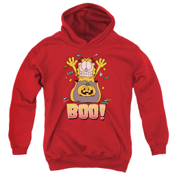 Garfield Boo! - Youth Hoodie Youth Hoodie (Ages 8-12) Garfield   