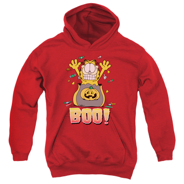 Garfield Boo! - Youth Hoodie Youth Hoodie (Ages 8-12) Garfield   