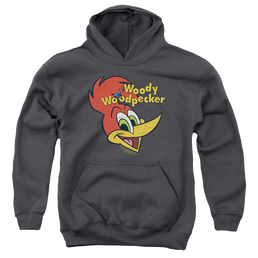Woody Woodpecker Retro Logo - Youth Hoodie Youth Hoodie (Ages 8-12) Woody Woodpecker   