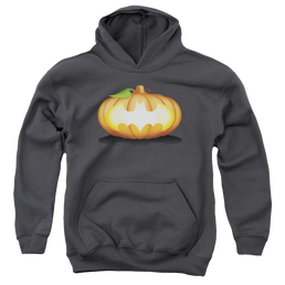 DC Batman Bat Pumpkin Logo - Youth Hoodie Youth Hoodie (Ages 8-12) Batman   