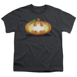 DC Batman Bat Pumpkin Logo - Youth T-Shirt Youth T-Shirt (Ages 8-12) Batman   
