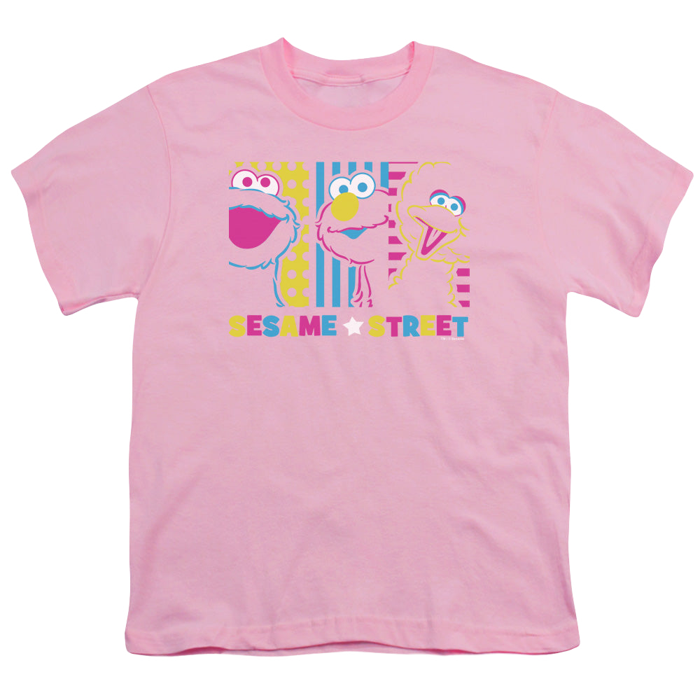 Sesame Street See Em Why - Youth T-Shirt Youth T-Shirt (Ages 8-12) Sesame Street   