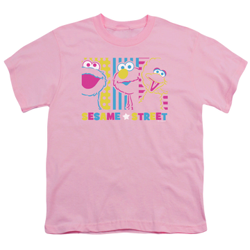 Pink youth t-shirt for ages 8 to 12 with Sesame Street See Em Why graphic
