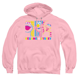 Sesame Street See Em Why - Pullover Hoodie Pullover Hoodie Sesame Street   
