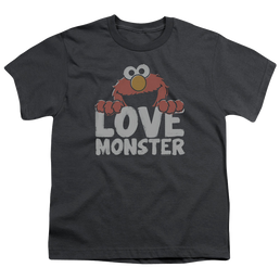 Sesame Street Love Monster - Youth T-Shirt Youth T-Shirt (Ages 8-12) Sesame Street   