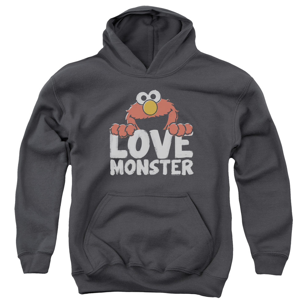 Sesame Street Love Monster - Youth Hoodie Youth Hoodie (Ages 8-12) Sesame Street   