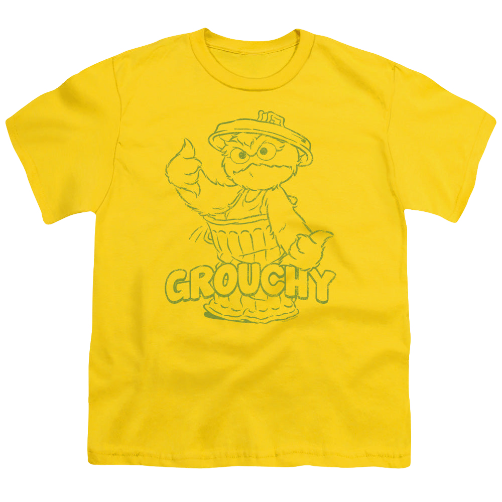 Sesame Street Grouchy - Youth T-Shirt Youth T-Shirt (Ages 8-12) Sesame Street   