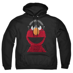 Sesame Street Top Billed - Pullover Hoodie Pullover Hoodie Sesame Street   