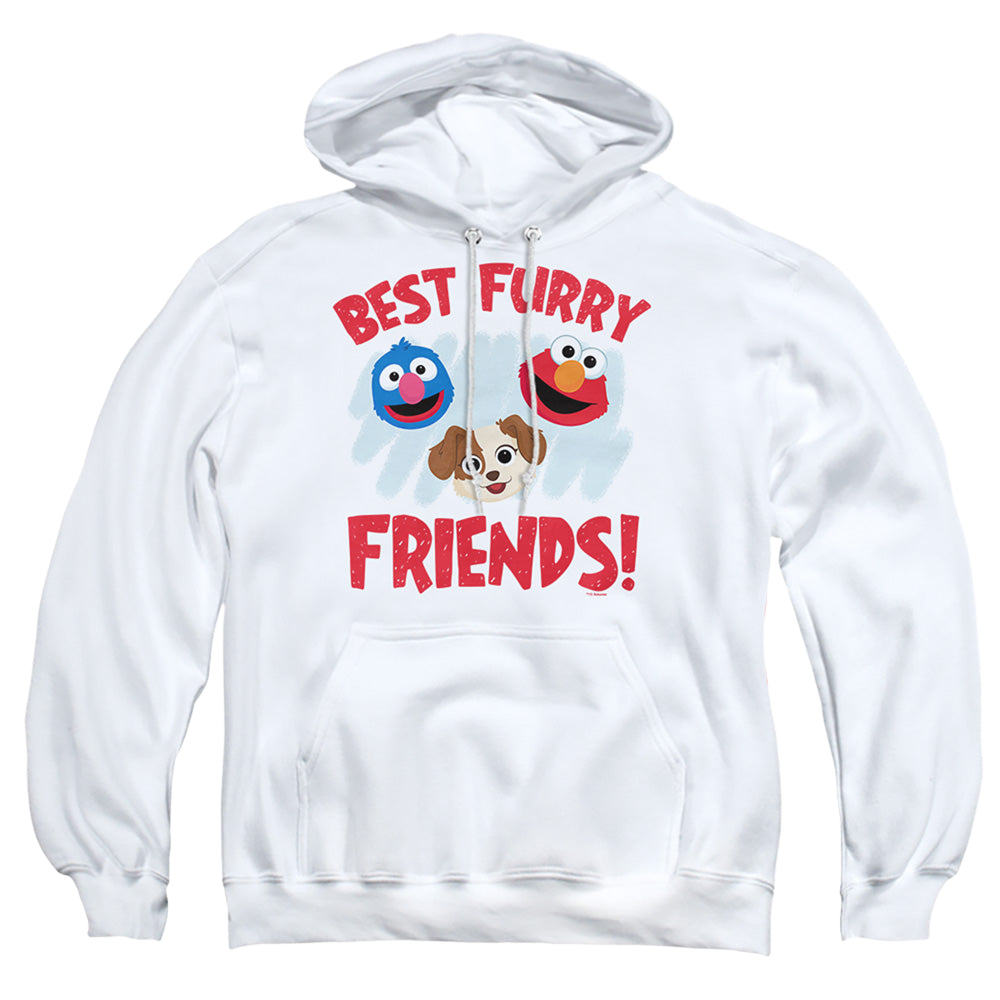 Sesame Street Best Furry Friends - Pullover Hoodie Pullover Hoodie Sesame Street   