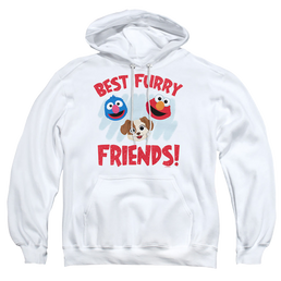 Sesame Street Best Furry Friends - Pullover Hoodie Pullover Hoodie Sesame Street   