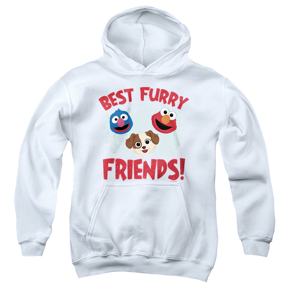 Sesame Street Best Furry Friends - Youth Hoodie Youth Hoodie (Ages 8-12) Sesame Street   