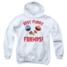 Sesame Street Best Furry Friends - Youth Hoodie Youth Hoodie (Ages 8-12) Sesame Street   