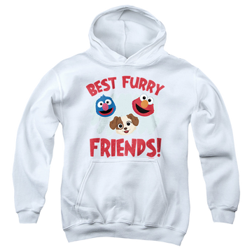 White youth hoodie for ages 8 to 12 with Sesame Street Best Furry Friends graphic