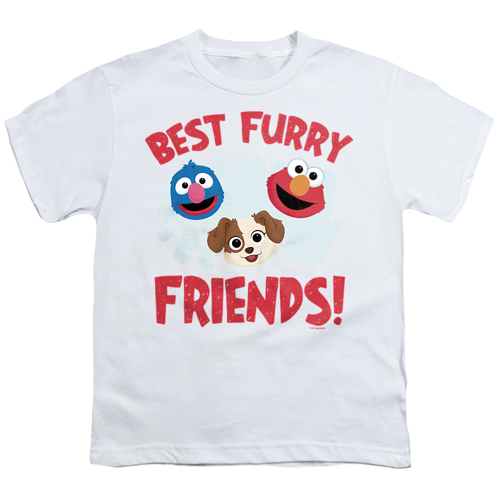 Sesame Street Best Furry Friends - Youth T-Shirt Youth T-Shirt (Ages 8-12) Sesame Street   