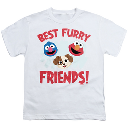 Sesame Street Best Furry Friends - Youth T-Shirt Youth T-Shirt (Ages 8-12) Sesame Street   