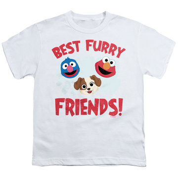 White youth t-shirt for ages 8 to 12 with Sesame Street Best Furry Friends graphic