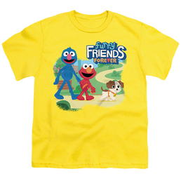 Sesame Street Take A Walk - Youth T-Shirt Youth T-Shirt (Ages 8-12) Sesame Street   