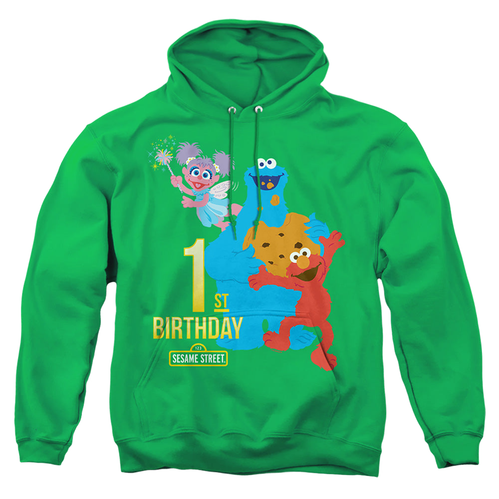 Sesame Street 1St Birthday - Pullover Hoodie Pullover Hoodie Sesame Street   