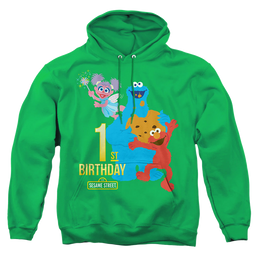 Sesame Street 1St Birthday - Pullover Hoodie Pullover Hoodie Sesame Street   