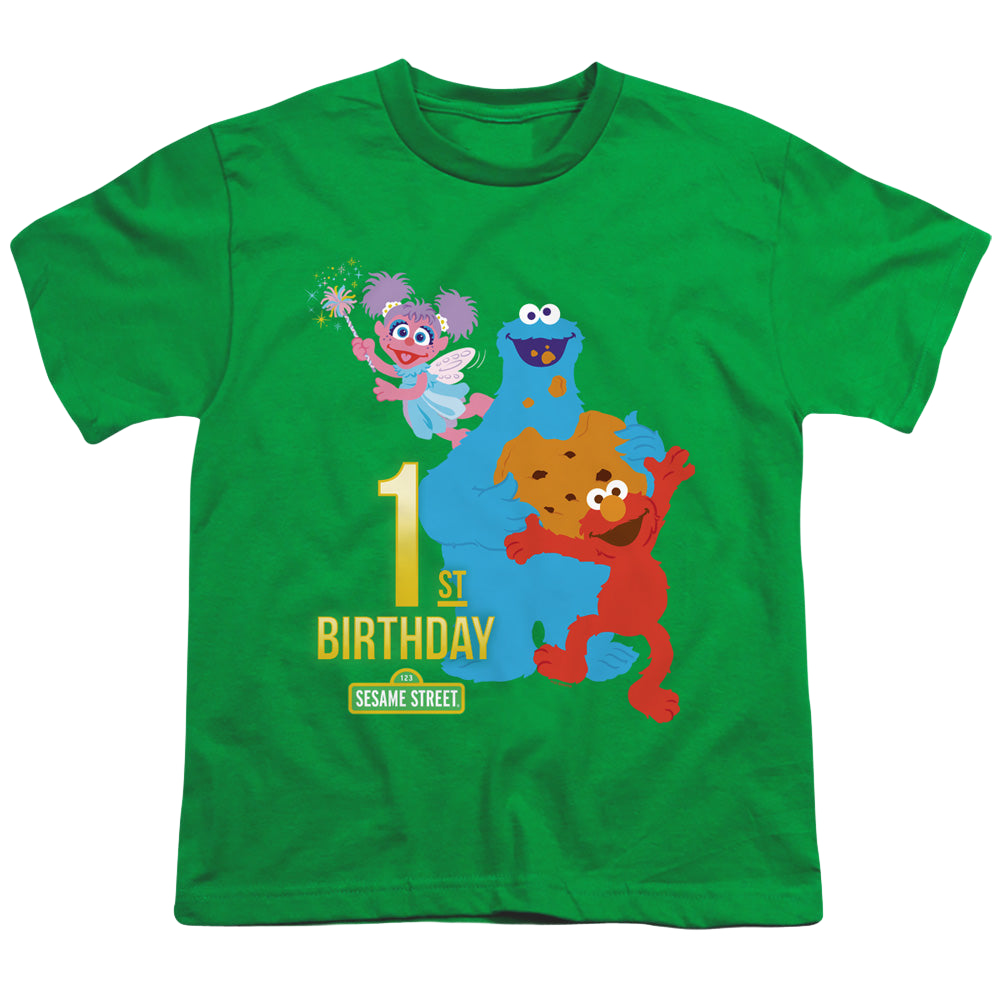 Sesame Street 1St Birthday - Youth T-Shirt Youth T-Shirt (Ages 8-12) Sesame Street   