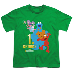 Sesame Street 1St Birthday - Youth T-Shirt Youth T-Shirt (Ages 8-12) Sesame Street   