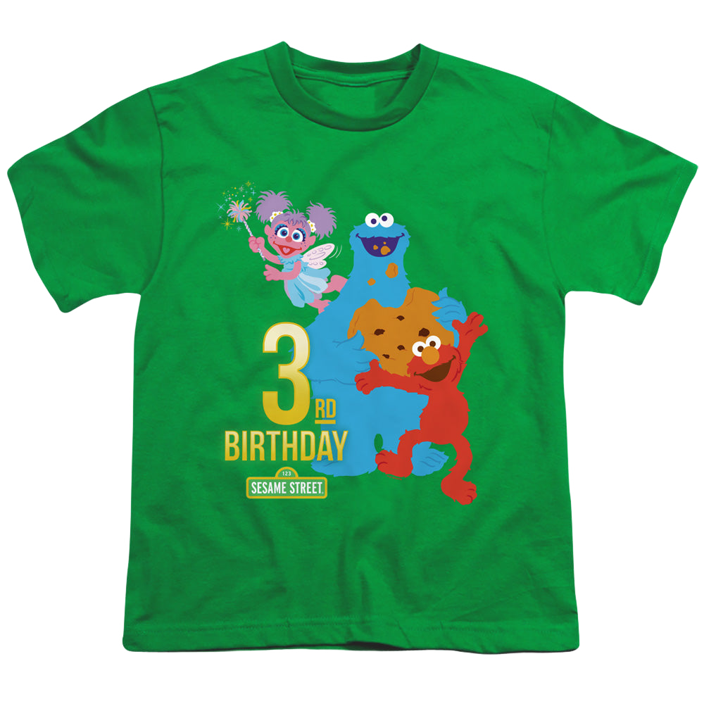 Sesame Street 3Rd Birthday - Youth T-Shirt Youth T-Shirt (Ages 8-12) Sesame Street   