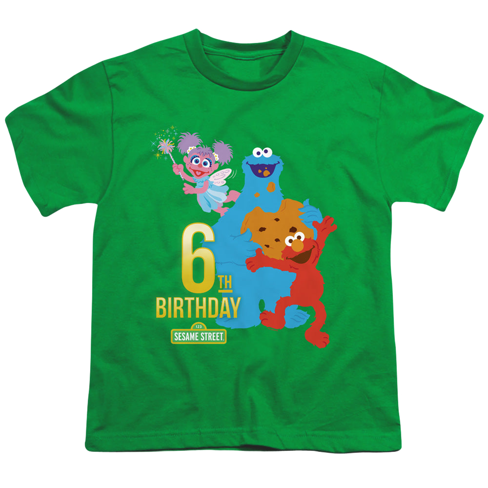 Sesame Street 6Th Birthday - Youth T-Shirt Youth T-Shirt (Ages 8-12) Sesame Street   