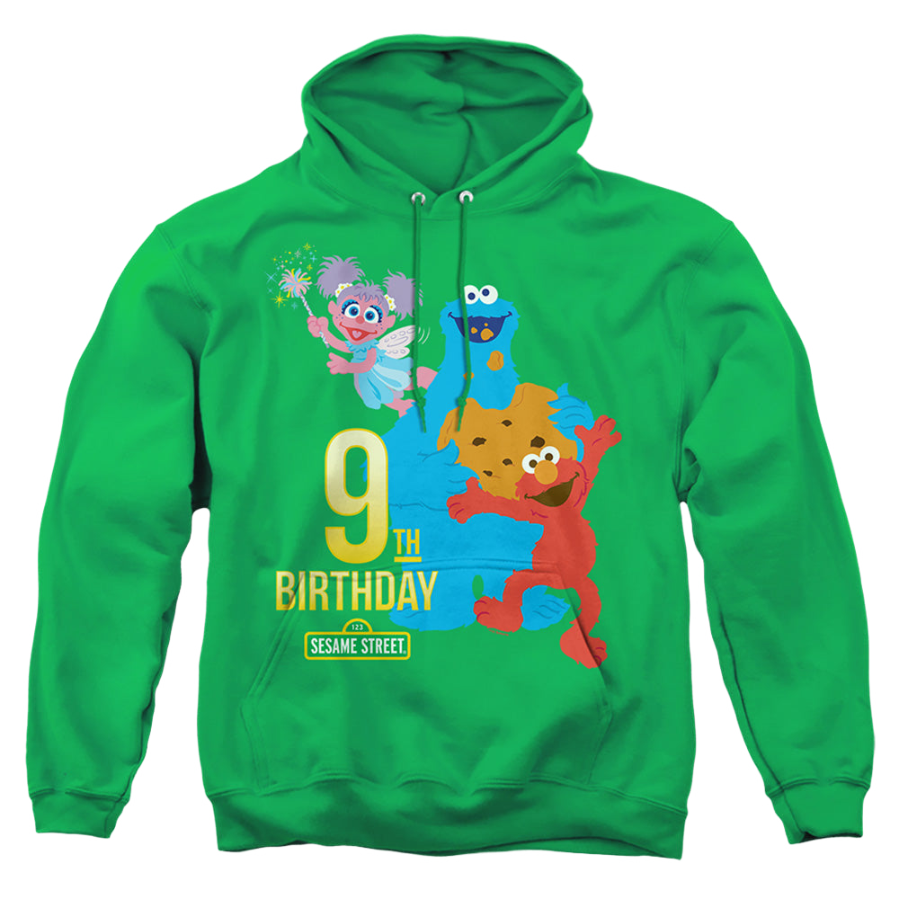 Sesame Street 9Th Birthday - Pullover Hoodie Pullover Hoodie Sesame Street   