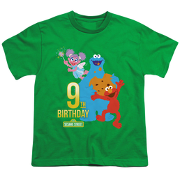 Sesame Street 9Th Birthday - Youth T-Shirt Youth T-Shirt (Ages 8-12) Sesame Street   