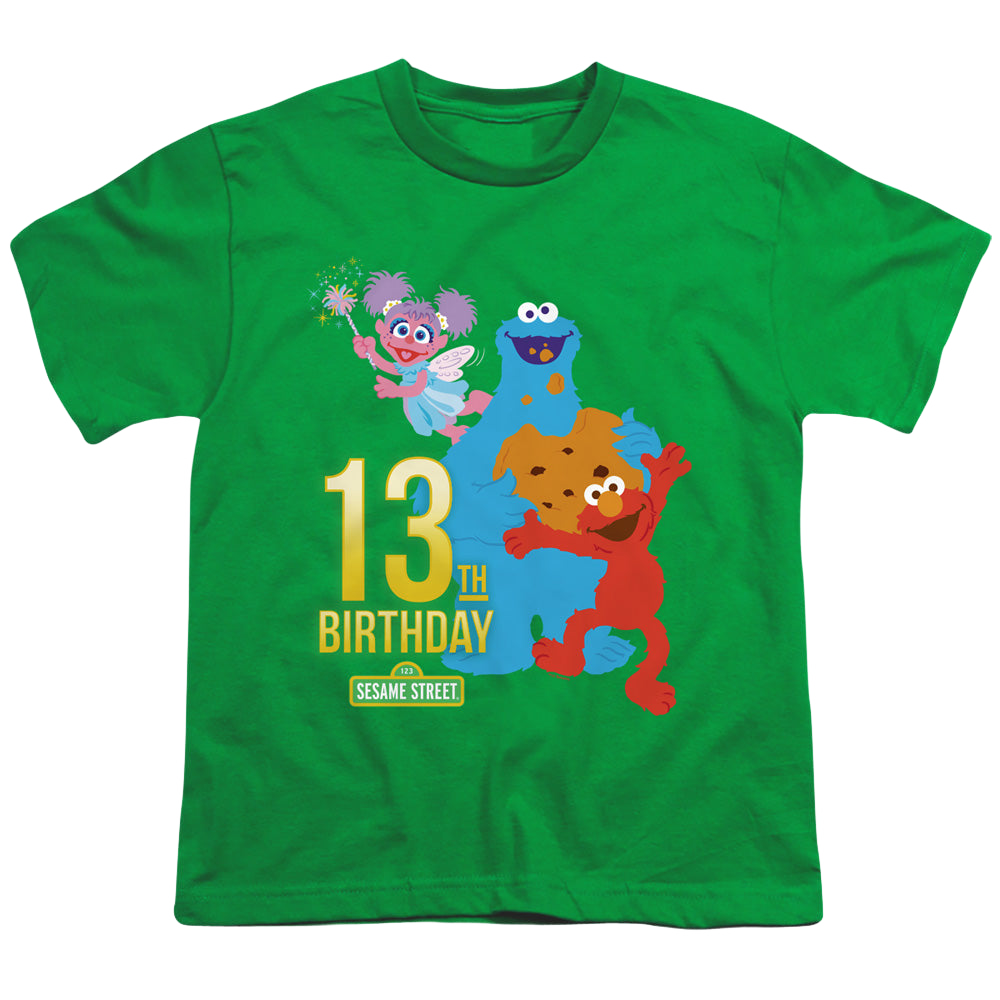 Sesame Street 13Th Birthday - Youth T-Shirt Youth T-Shirt (Ages 8-12) Sesame Street   