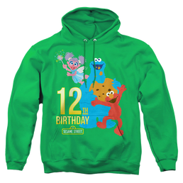 Sesame Street 12Th Birthday - Pullover Hoodie Pullover Hoodie Sesame Street   