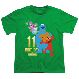 Sesame Street 11Th Birthday - Youth T-Shirt Youth T-Shirt (Ages 8-12) Sesame Street   