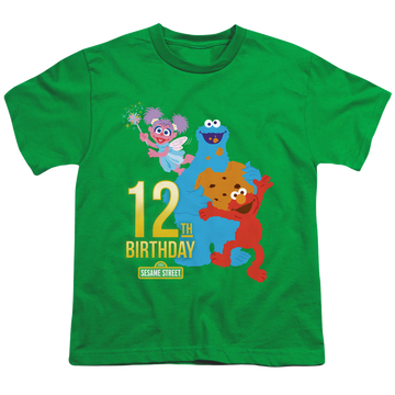 Kelly green youth t-shirt for ages 8 to 12 with Sesame Street 12Th Birthday graphic