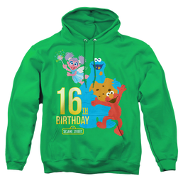 Sesame Street 16Th Birthday - Pullover Hoodie Pullover Hoodie Sesame Street   