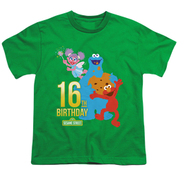 Sesame Street 16Th Birthday - Youth T-Shirt Youth T-Shirt (Ages 8-12) Sesame Street   
