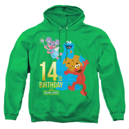 Sesame Street 14Th Birthday - Pullover Hoodie Pullover Hoodie Sesame Street   